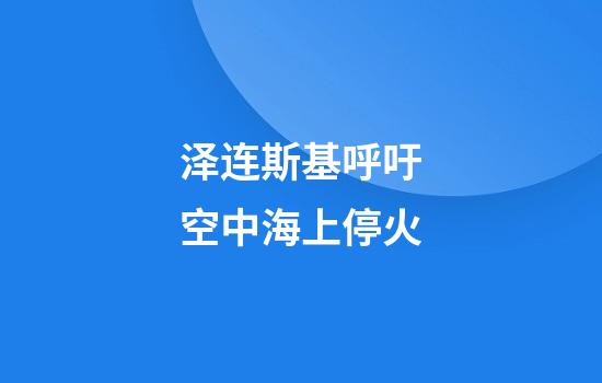 泽连斯基呼吁空中海上停火