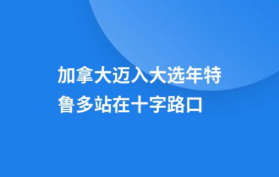 加拿大迈入大选年特鲁多站在十字路口
