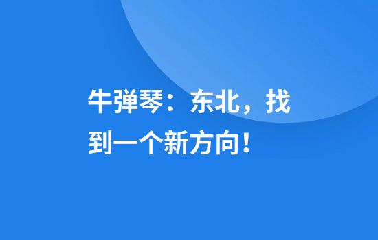 牛弹琴：东北，找到一个新方向！
