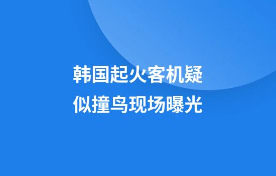 韩国起火客机疑似撞鸟现场曝光
