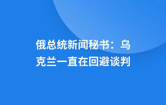 俄总统新闻秘书：乌克兰一直在回避谈判