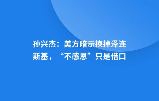 孙兴杰：美方暗示换掉泽连斯基，“不感恩”只是借口
