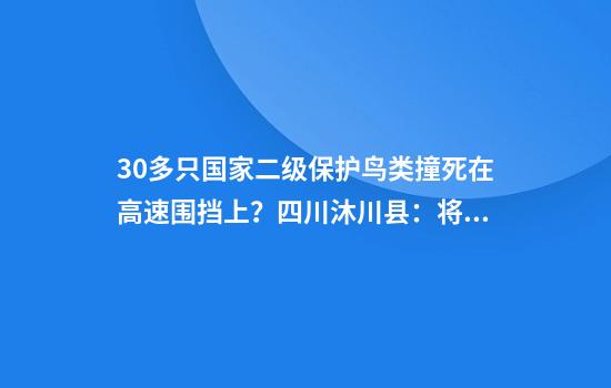30多只国家二级保护鸟类撞死在高速围挡上？四川沐川县：将悬挂猛禽图