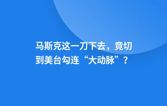 马斯克这一刀下去，竟切到美台勾连“大动脉”？