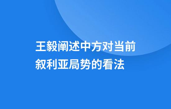 王毅阐述中方对当前叙利亚局势的看法