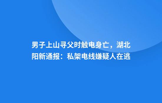 男子上山寻父时触电身亡，湖北阳新通报：私架电线嫌疑人在逃