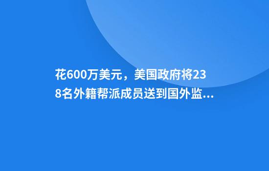 花600万美元，美国政府将238名外籍帮派成员送到国外监狱！法院发出禁令，白宫辩解：飞机已经飞走了