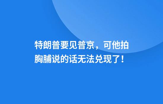 特朗普要见普京，可他拍胸脯说的话无法兑现了！