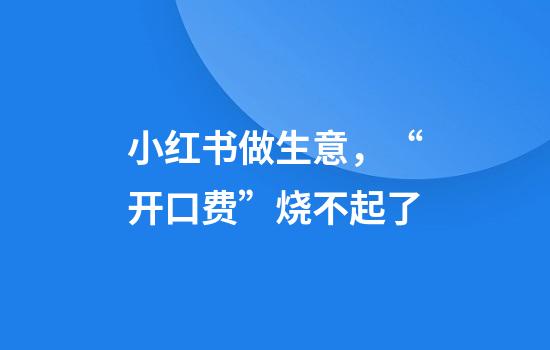 小红书做生意，“开口费”烧不起了