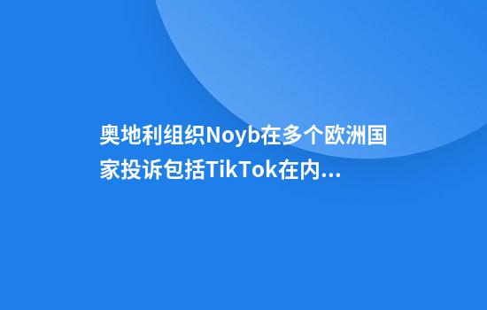 奥地利组织Noyb在多个欧洲国家投诉包括TikTok在内的六家中企外交部回应