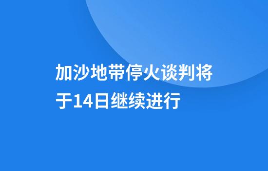 加沙地带停火谈判将于14日继续进行