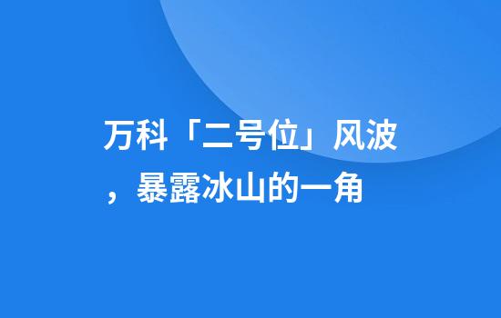 万科「二号位」风波，暴露冰山的一角