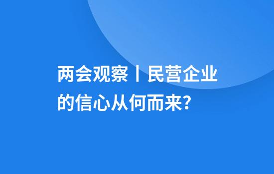 两会观察丨民营企业的信心从何而来？