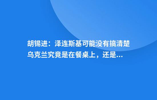 胡锡进：泽连斯基可能没有搞清楚乌克兰究竟是在餐桌上，还是在菜单里