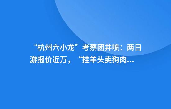 “杭州六小龙”考察团井喷：两日游报价近万，“挂羊头卖狗肉”暗藏玄机