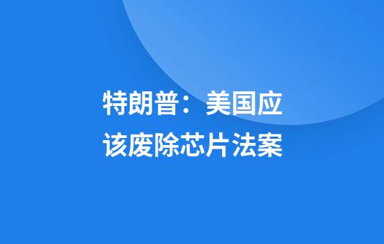 特朗普：美国应该废除芯片法案