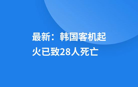 最新：韩国客机起火已致28人死亡
