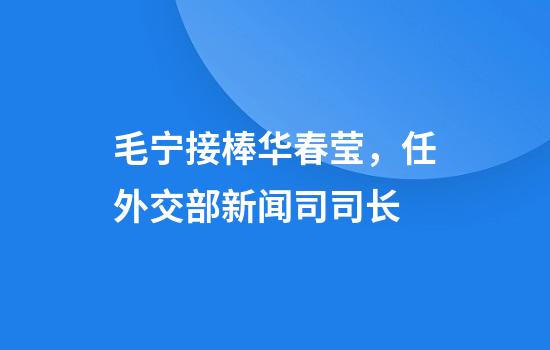 毛宁接棒华春莹，任外交部新闻司司长