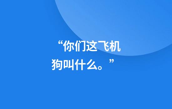 “你们这飞机狗叫什么。”