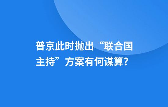 普京此时抛出“联合国主持”方案有何谋算？