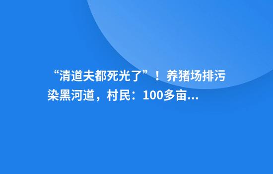 “清道夫都死光了”！养猪场排污染黑河道，村民：100多亩农田没法灌溉