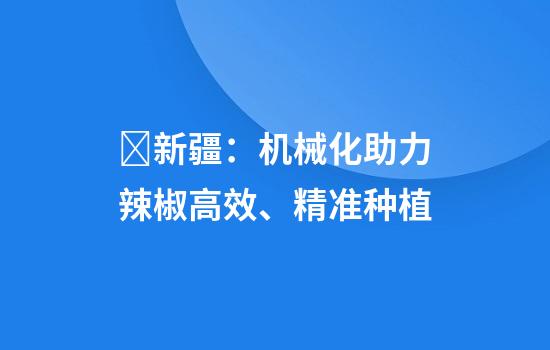 ​新疆：机械化助力辣椒高效、精准种植