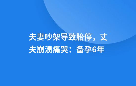 夫妻吵架导致胎停，丈夫崩溃痛哭：备孕6年