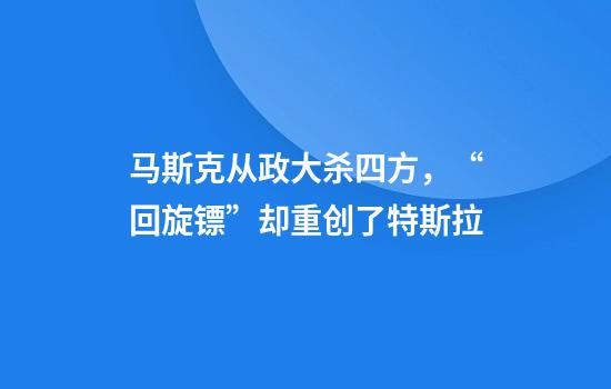 马斯克从政大杀四方，“回旋镖”却重创了特斯拉