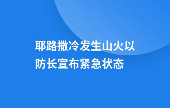 耶路撒冷发生山火以防长宣布紧急状态
