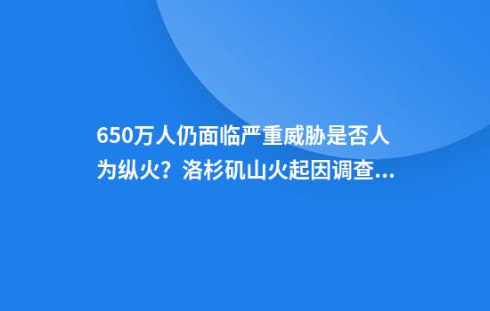 650万人仍面临严重威胁是否人为纵火？洛杉矶山火起因调查复杂繁琐