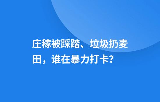 庄稼被踩踏、垃圾扔麦田，谁在暴力打卡？
