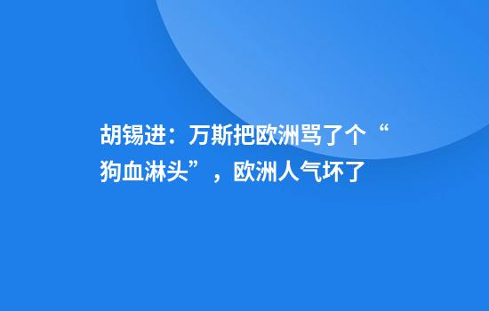 胡锡进：万斯把欧洲骂了个“狗血淋头”，欧洲人气坏了