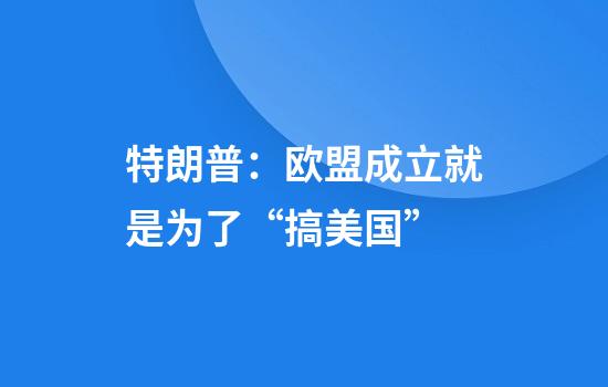特朗普：欧盟成立就是为了“搞美国”