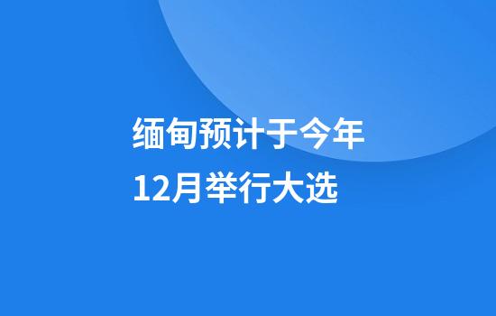 缅甸预计于今年12月举行大选