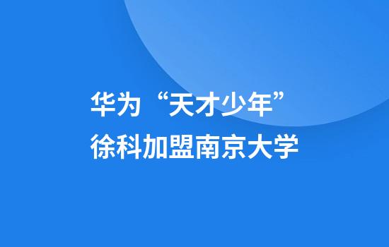 华为“天才少年”徐科加盟南京大学