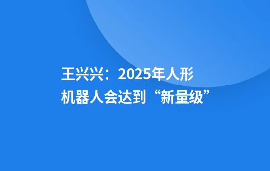王兴兴：2025年人形机器人会达到“新量级”