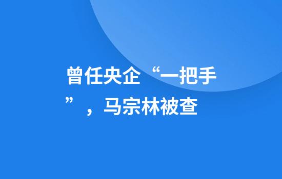 曾任央企“一把手”，马宗林被查