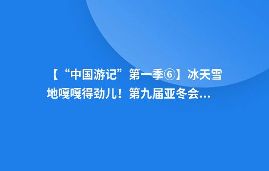 【“中国游记”第一季⑥】冰天雪地嘎嘎得劲儿！第九届亚冬会“尔滨”等你来撒欢儿~