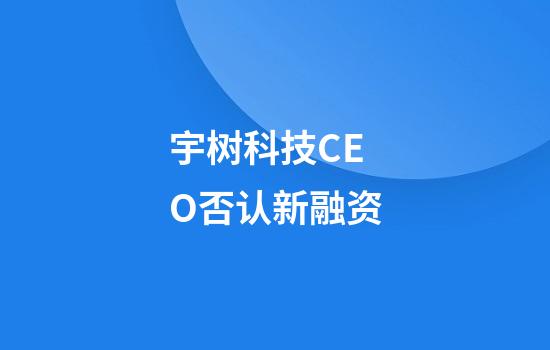 宇树科技CEO否认新融资
