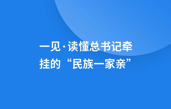 一见·读懂总书记牵挂的“民族一家亲”