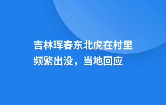 吉林珲春东北虎在村里频繁出没，当地回应