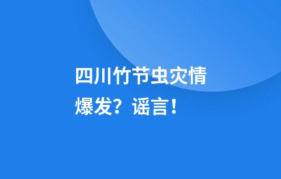 四川竹节虫灾情爆发？谣言！