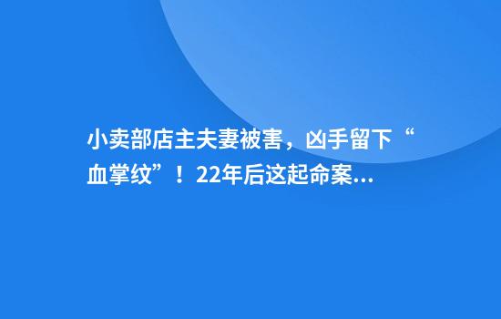 小卖部店主夫妻被害，凶手留下“血掌纹”！22年后这起命案破了