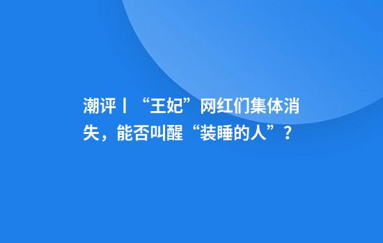 潮评丨“王妃”网红们集体消失，能否叫醒“装睡的人”？