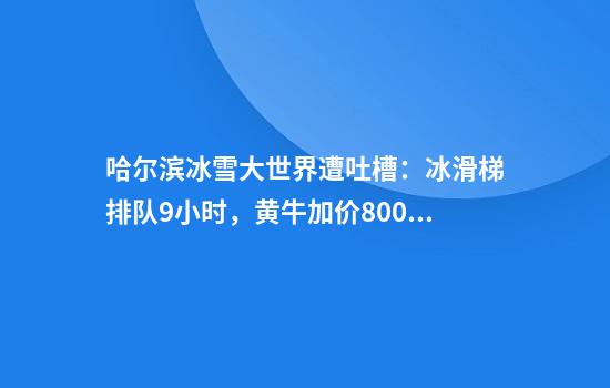 哈尔滨冰雪大世界遭吐槽：冰滑梯排队9小时，黄牛加价800元免排