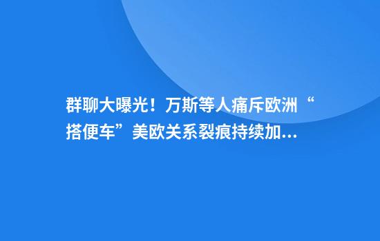 群聊大曝光！万斯等人痛斥欧洲“搭便车”美欧关系裂痕持续加深