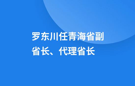 罗东川任青海省副省长、代理省长