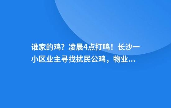 谁家的鸡？凌晨4点打鸣！长沙一小区业主寻找扰民公鸡，物业：在挨家挨户问