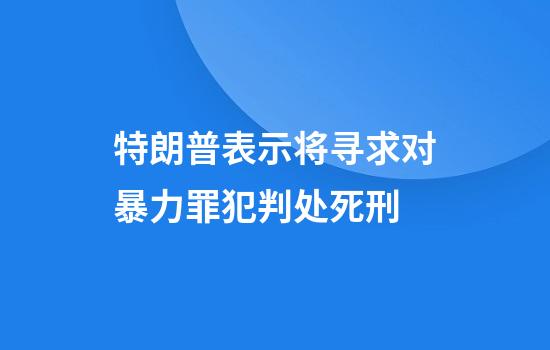 特朗普表示将寻求对暴力罪犯判处死刑