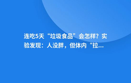 连吃5天“垃圾食品”会怎样？实验发现：人没胖，但体内“拉响警报”